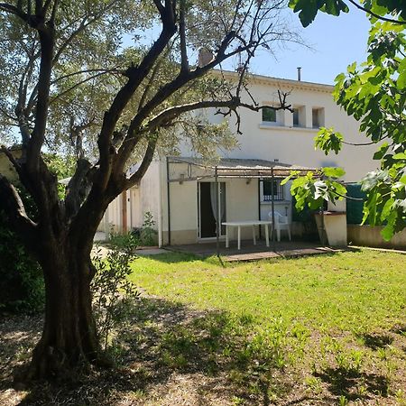 Orteils Au Soleil Jardin Parking Nimes Luaran gambar